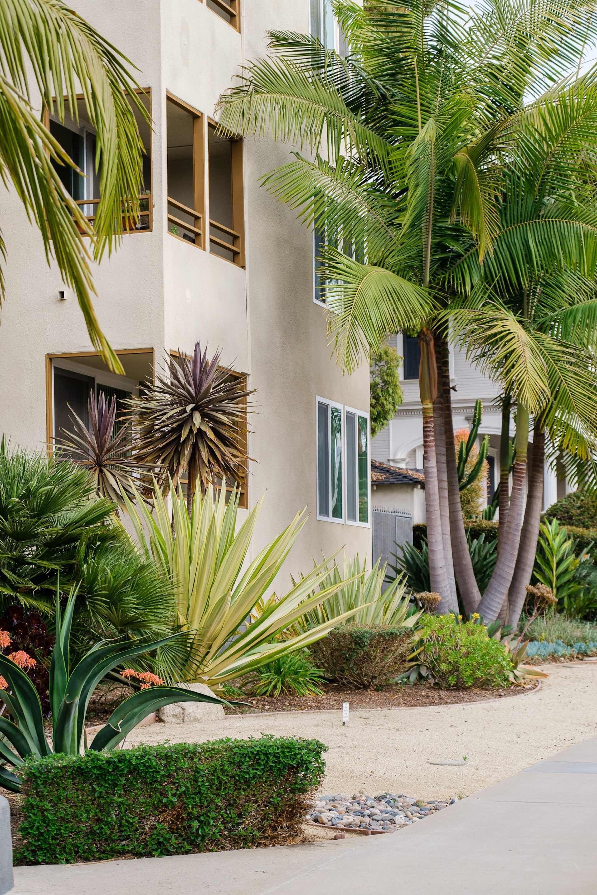 Exterior of apartment building with palm trees