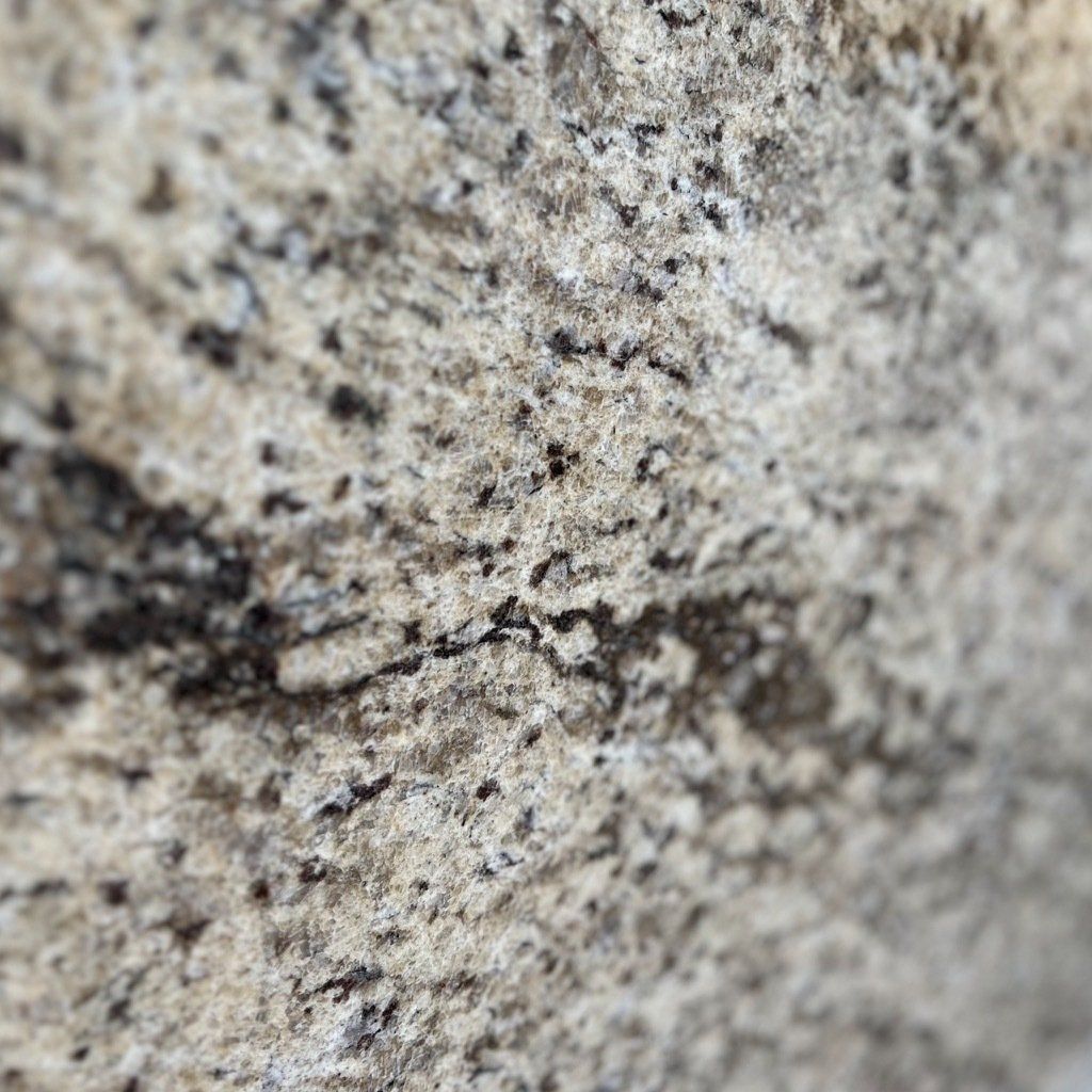 A close up of a rock with a lot of small stones on it.