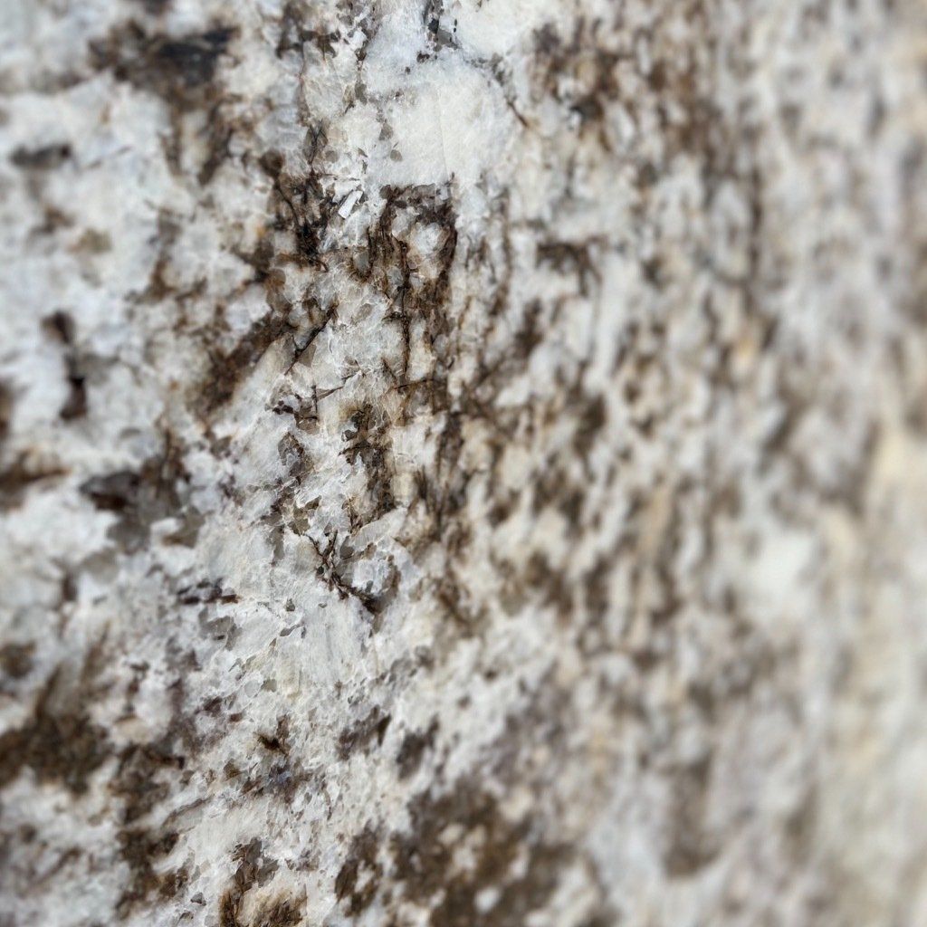 A close up of a rock with a lot of white spots on it.