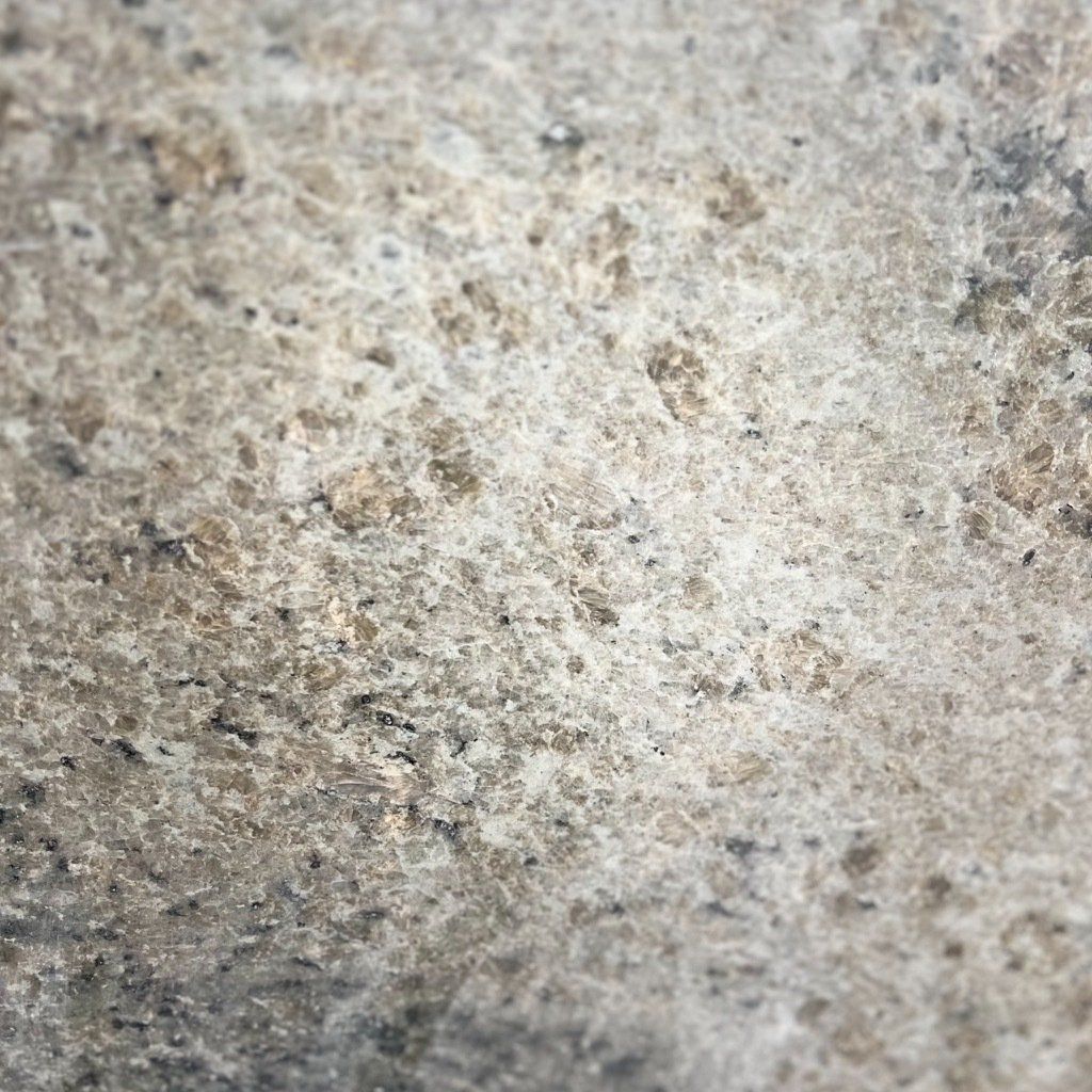 A close up of a rock with a lot of small stones on it.