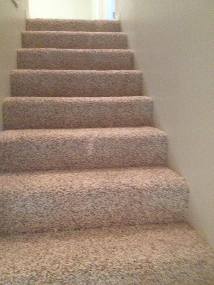 A set of carpeted stairs leading up to a basement.