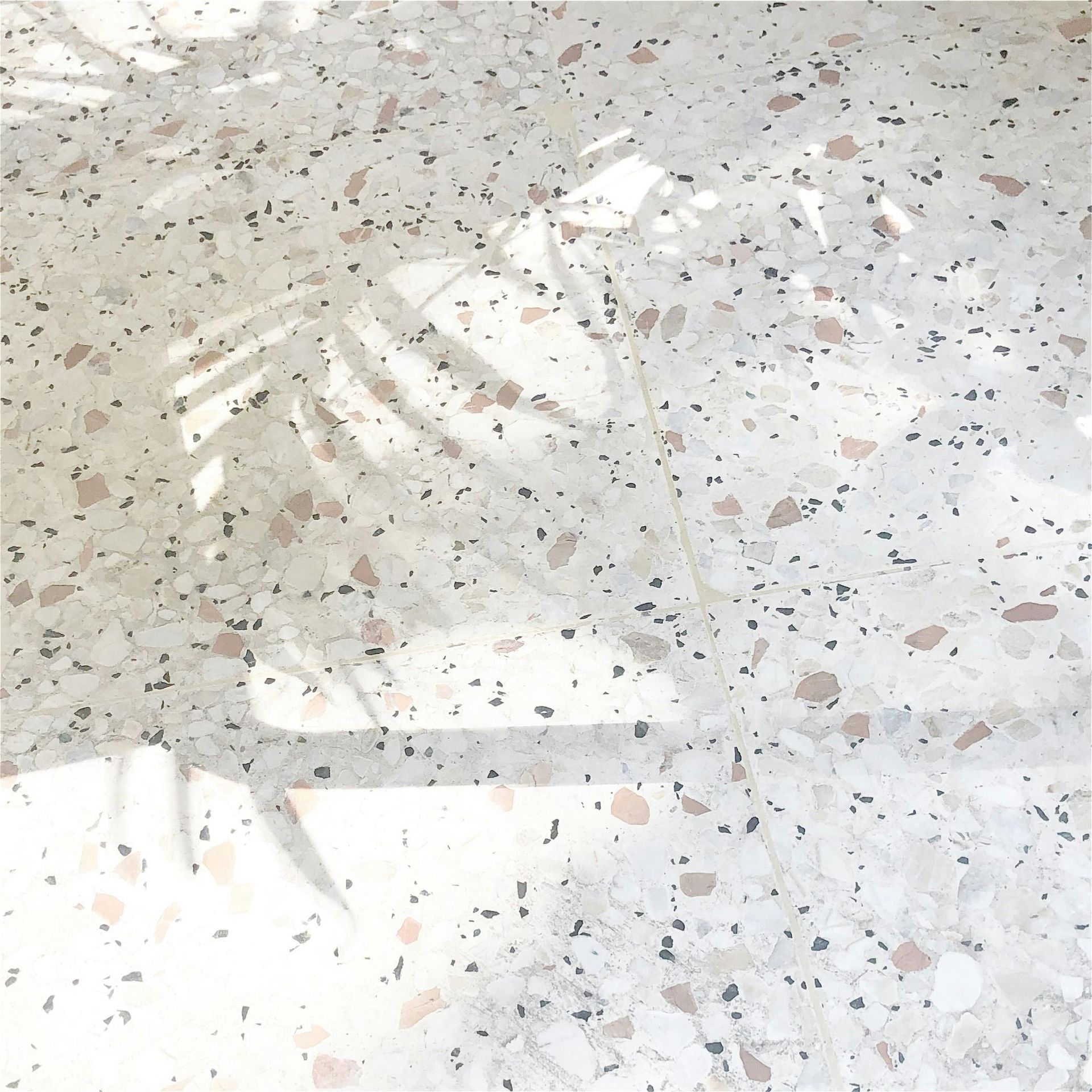 A shadow of a palm tree is cast on a white terrazzo floor
