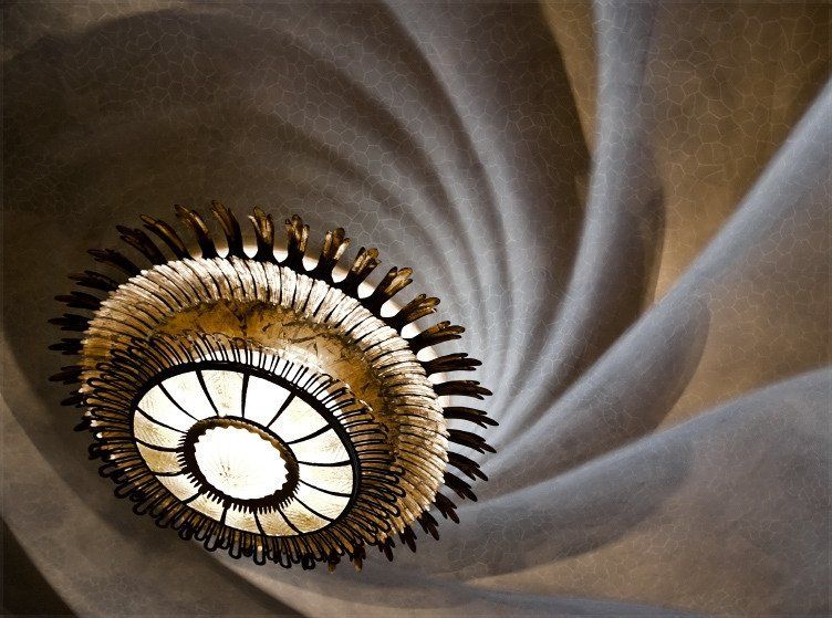 Welcome to Sintrópica