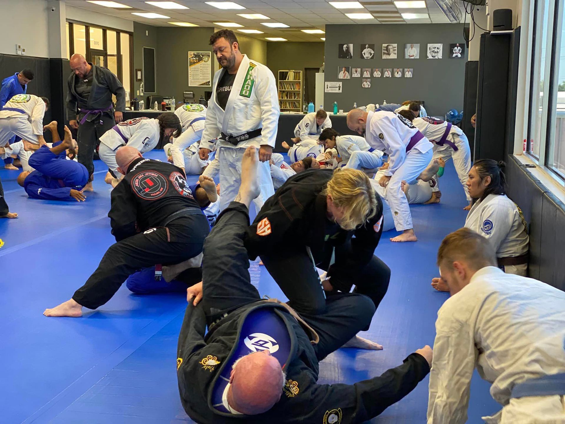 a group of people are practicing jiu jitsu in a gym .