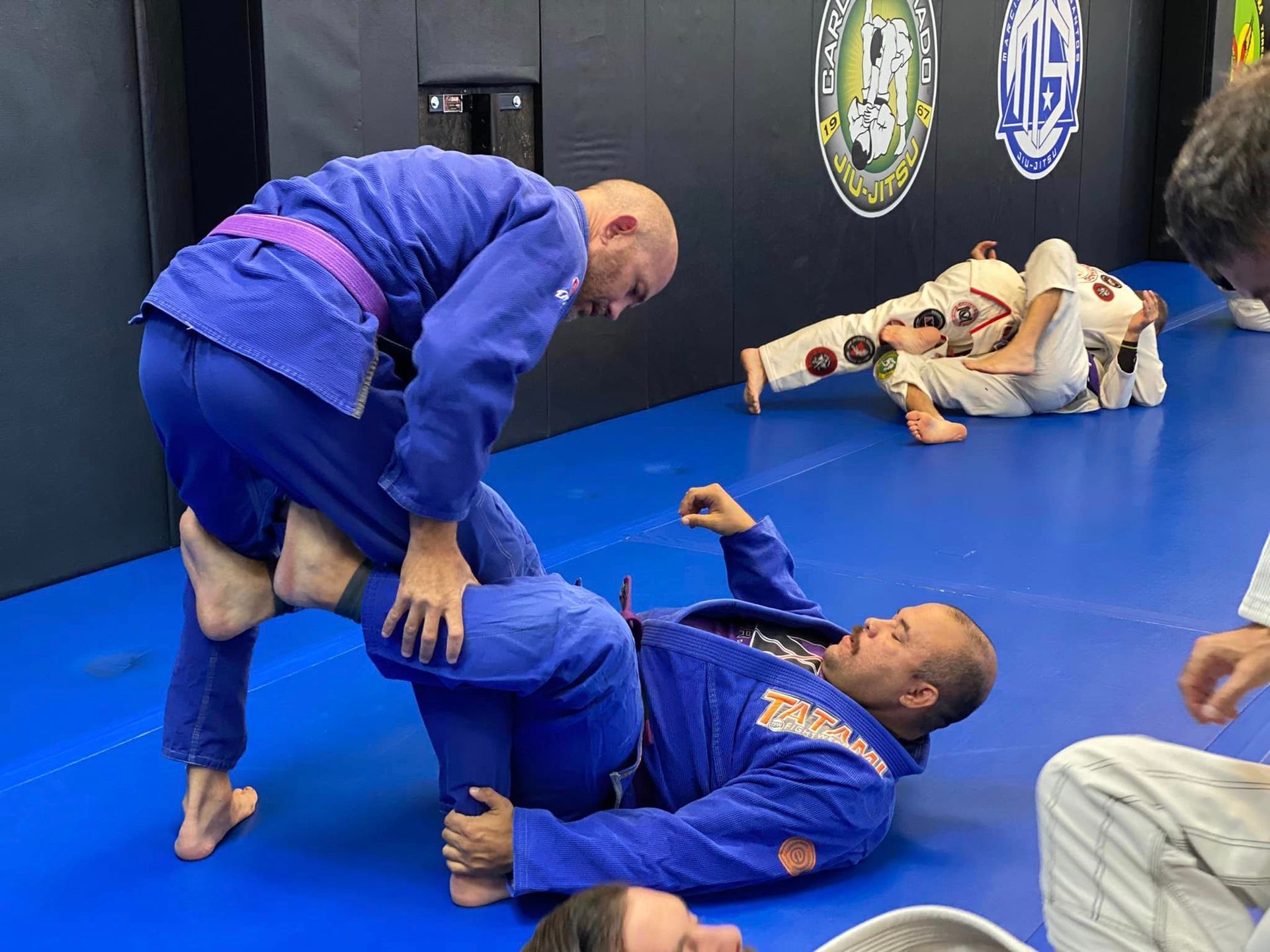 adult bjj