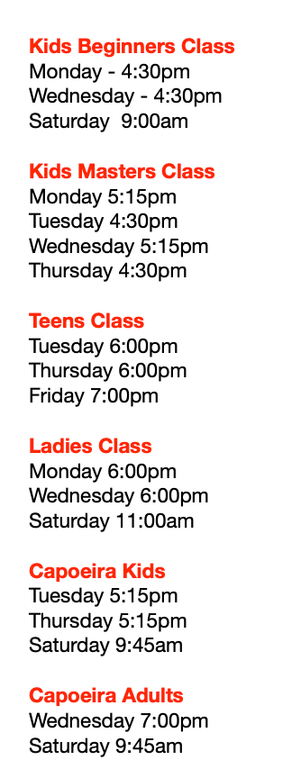 a list of classes for kids beginners , kids masters , teens , ladies and capoeira adults