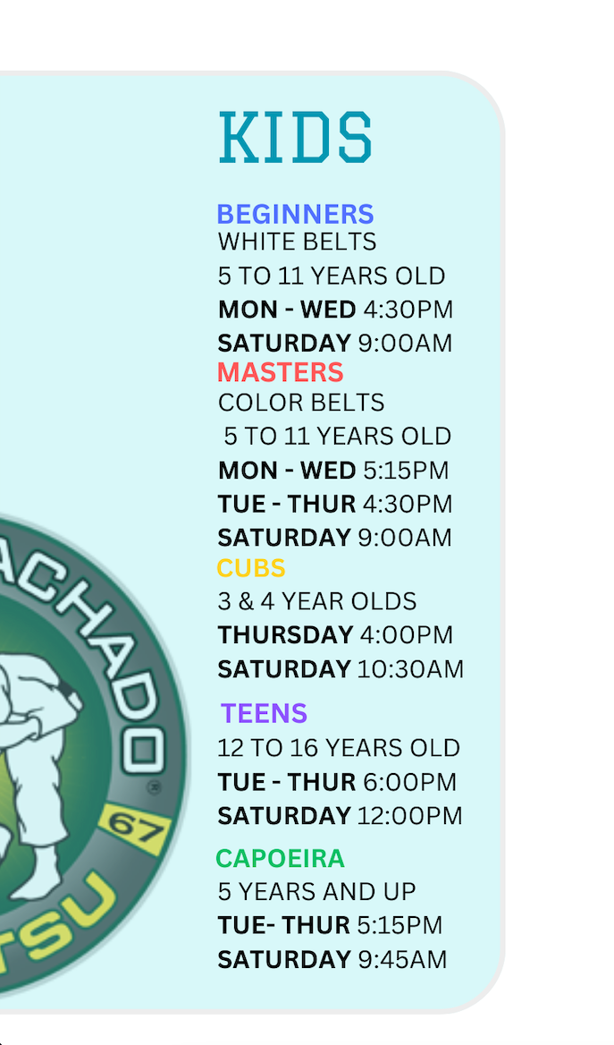 a list of classes for kids beginners , kids masters , teens , ladies and capoeira adults