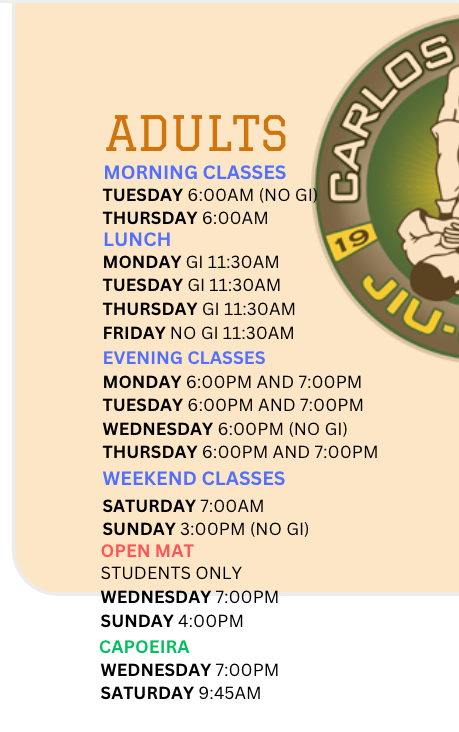 a list of classes for kids beginners , kids masters , teens , ladies and capoeira adults