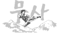 Black and white logo: martial artist kicking, mountains, gray Korean characters, 