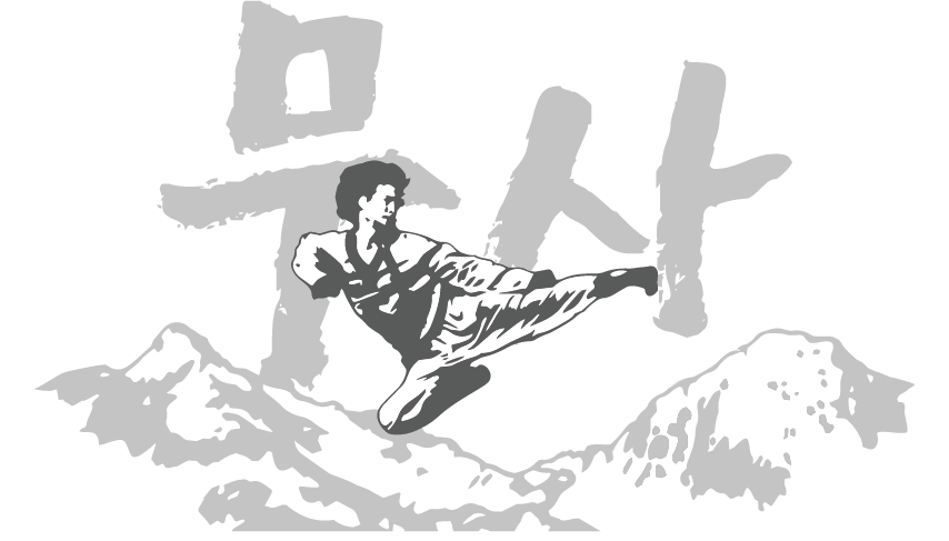 Black and white logo: martial artist kicking, mountains, gray Korean characters, 