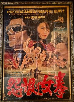Movie poster with Chinese characters and portraits of people, depicting a woman in the center, and various action scenes.