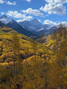 Autumn forest with golden trees beneath snow-capped mountains under a blue sky