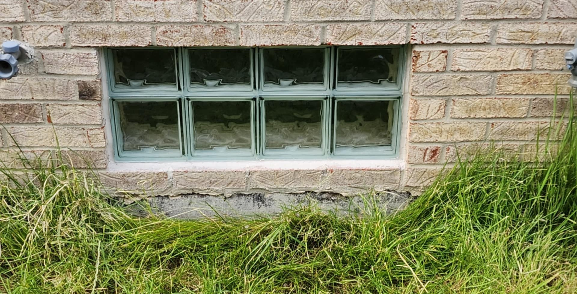 A window in a brick wall with grass growing around it.
