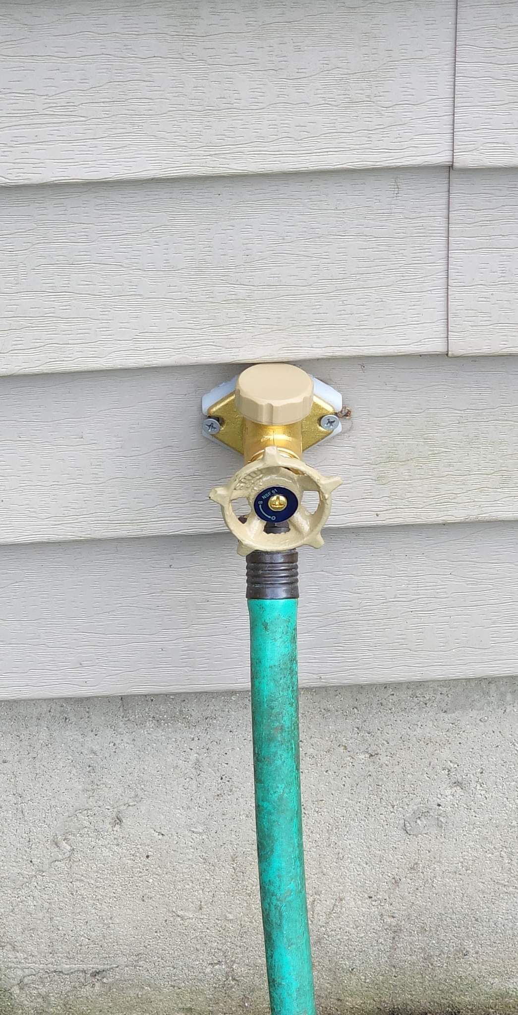 A green hose is attached to a faucet on the side of a building.