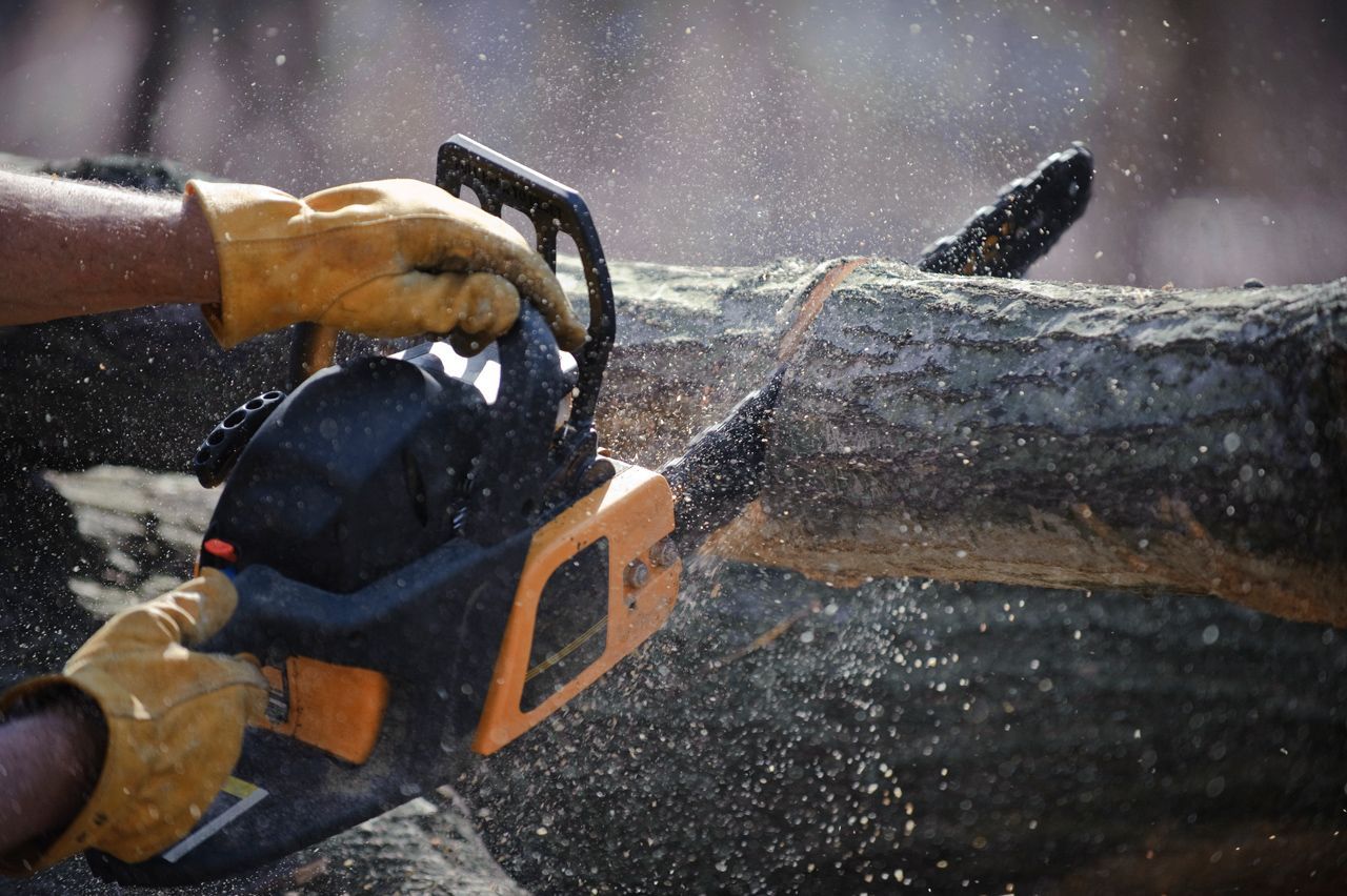 A person is using a chainsaw to cut a log.
