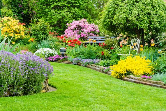A lush green garden filled with lots of flowers and trees.