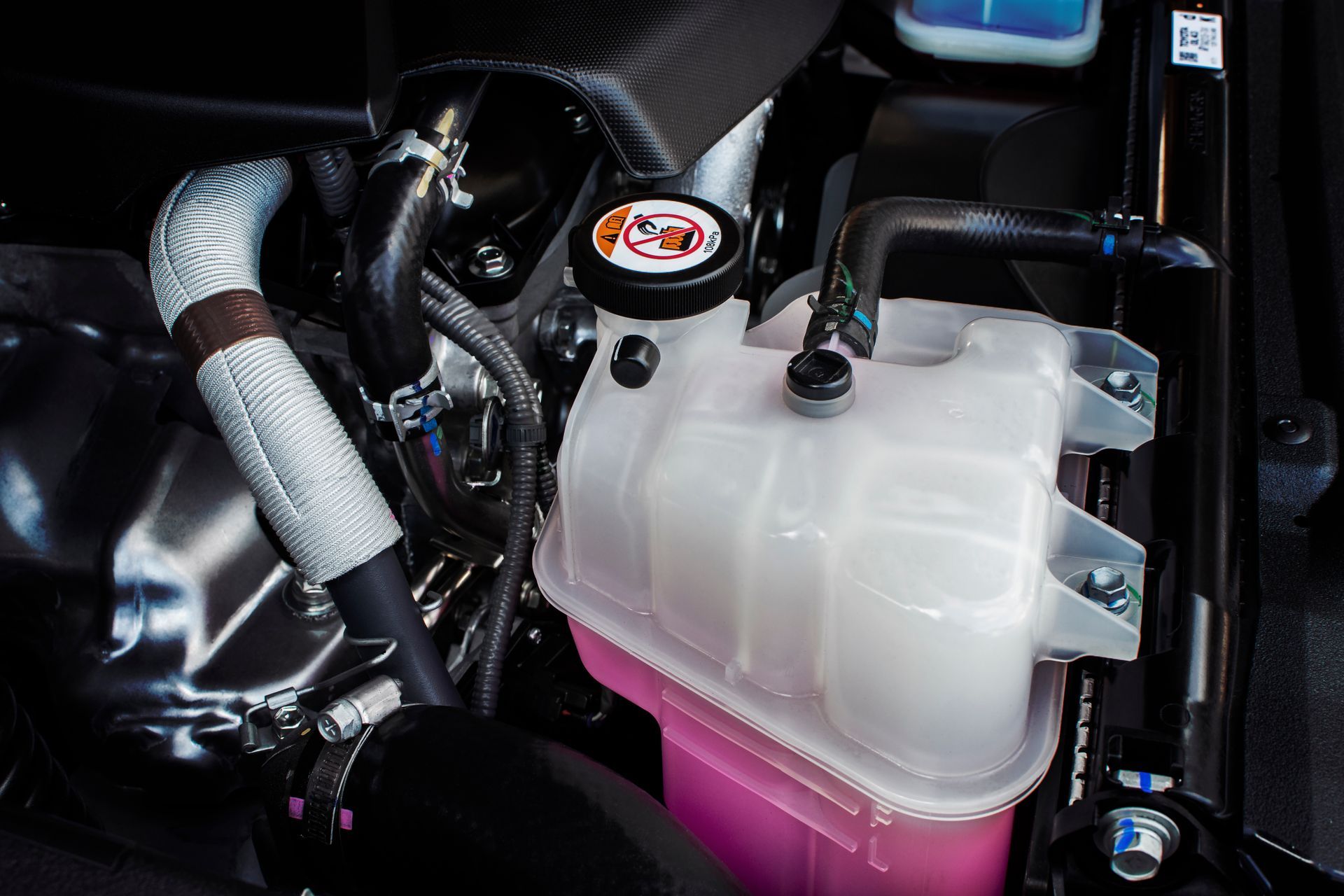 Coolant Levels Maintenance in Schenectady | Bulldog Auto