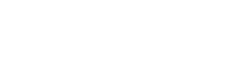 Mostly blank white image with a thin horizontal black line across the middle.
