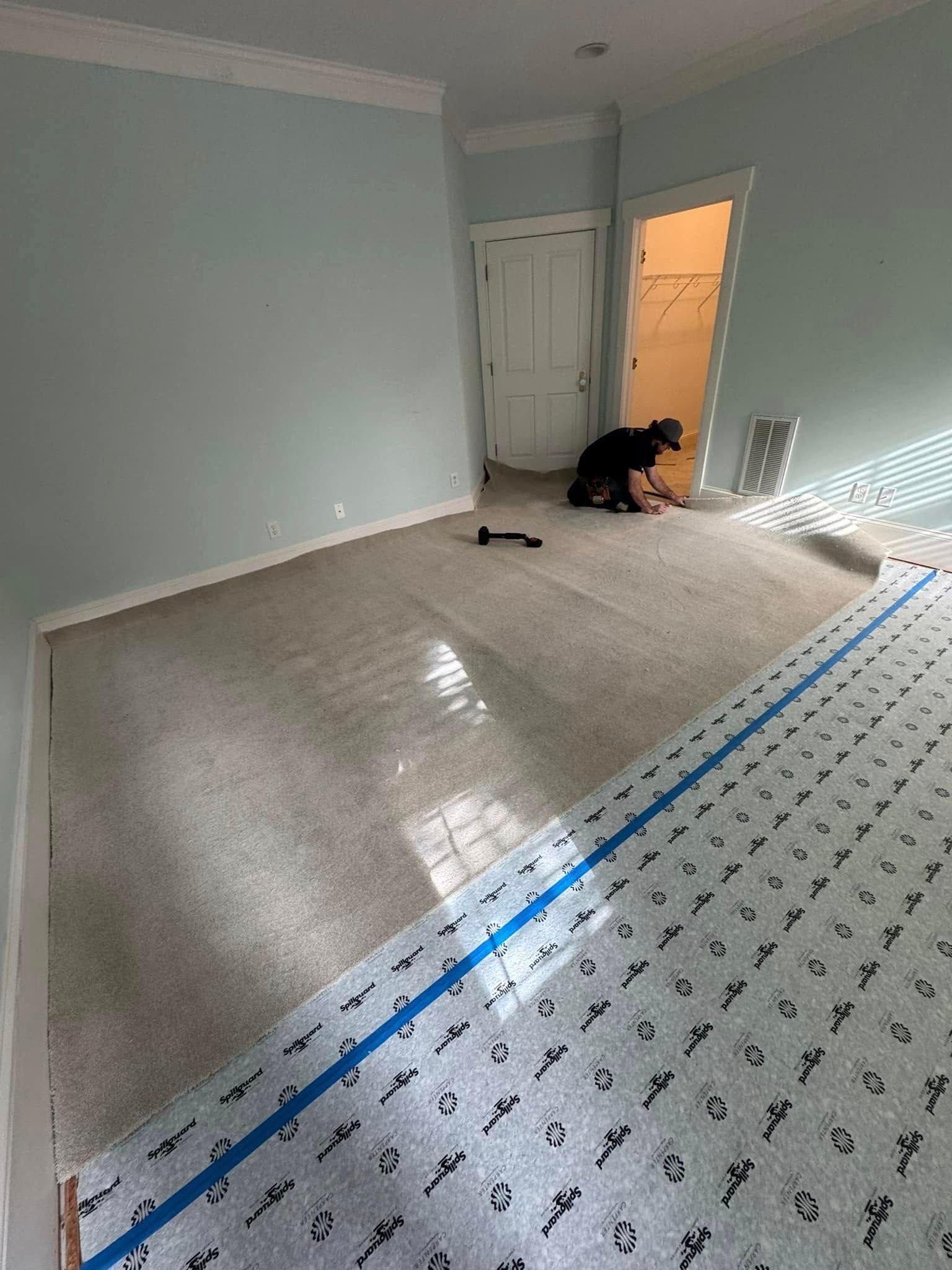 A hallway with a rug on the floor and a plant in a pot.
