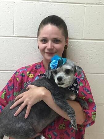 Koda Bear - Animal Hospital in Collingswood, NJ