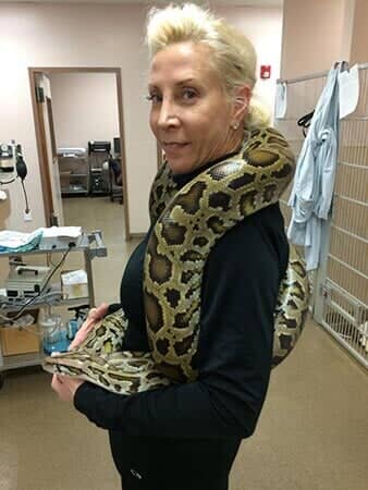 Lillith - Animal Hospital in Collingswood, NJ