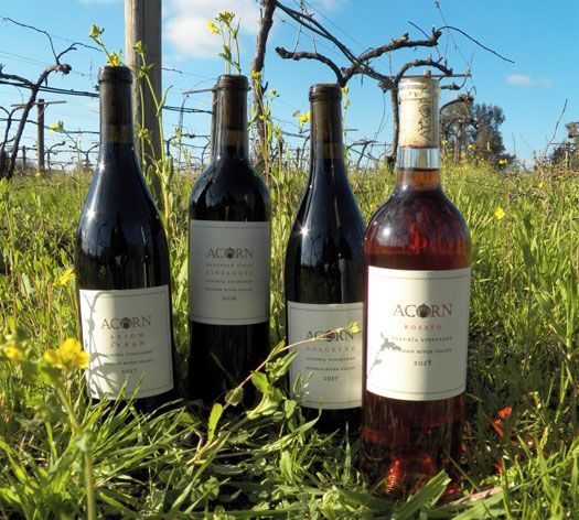 Photo of ACORN Wine bottles in vineyard linking to our wines webpage