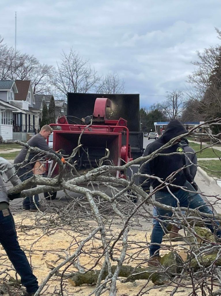 Tree service workers feeding branches into a red wood chipper on a residential street.