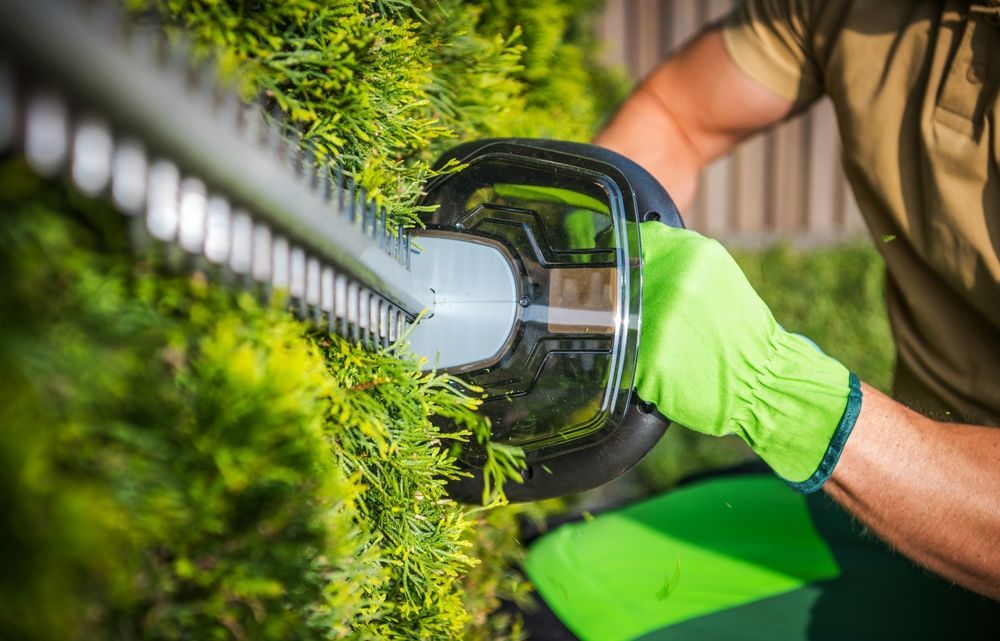 A person wearing a green glove trims a green hedge with an electric hedge trimmer.