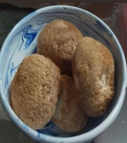 Micelio de Melena de León (Hericium erinaceus)