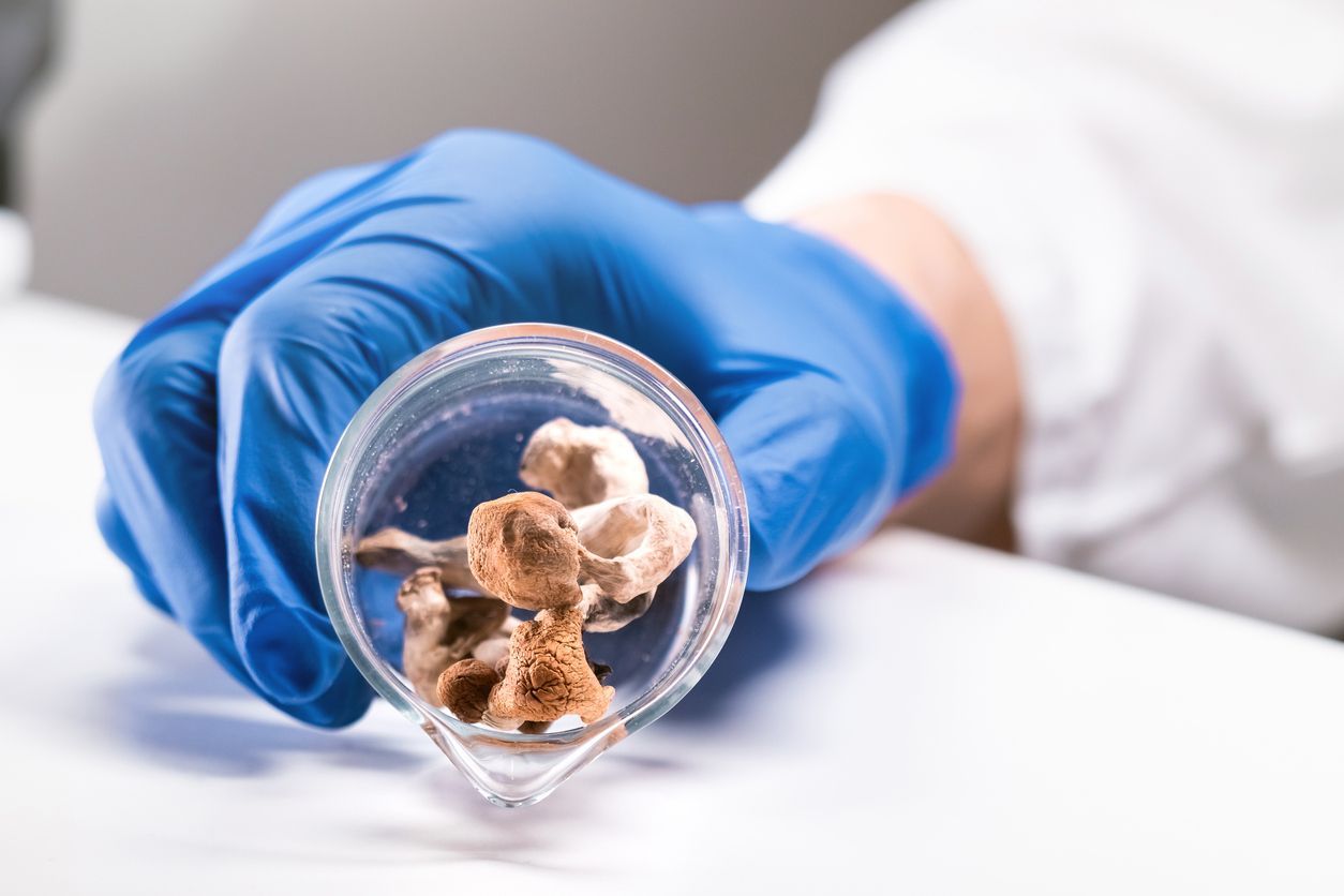 Una mano enguantada sostiene una cápsula transparente con pequeños ositos de peluche en su interior.