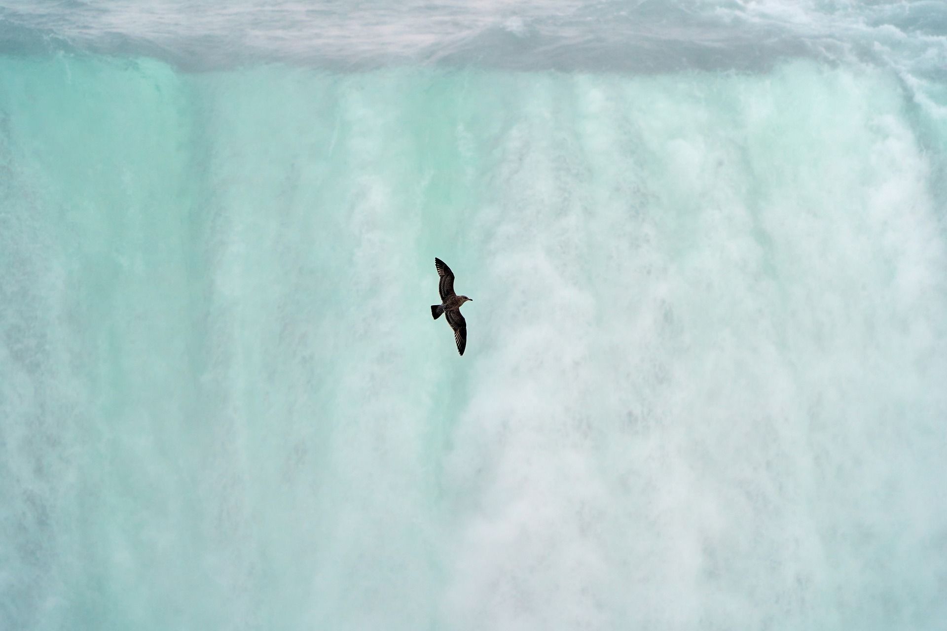 A bird is flying over a waterfall.