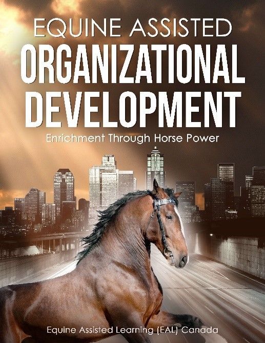 A horse is on the cover of a book titled equine assisted organizational development.