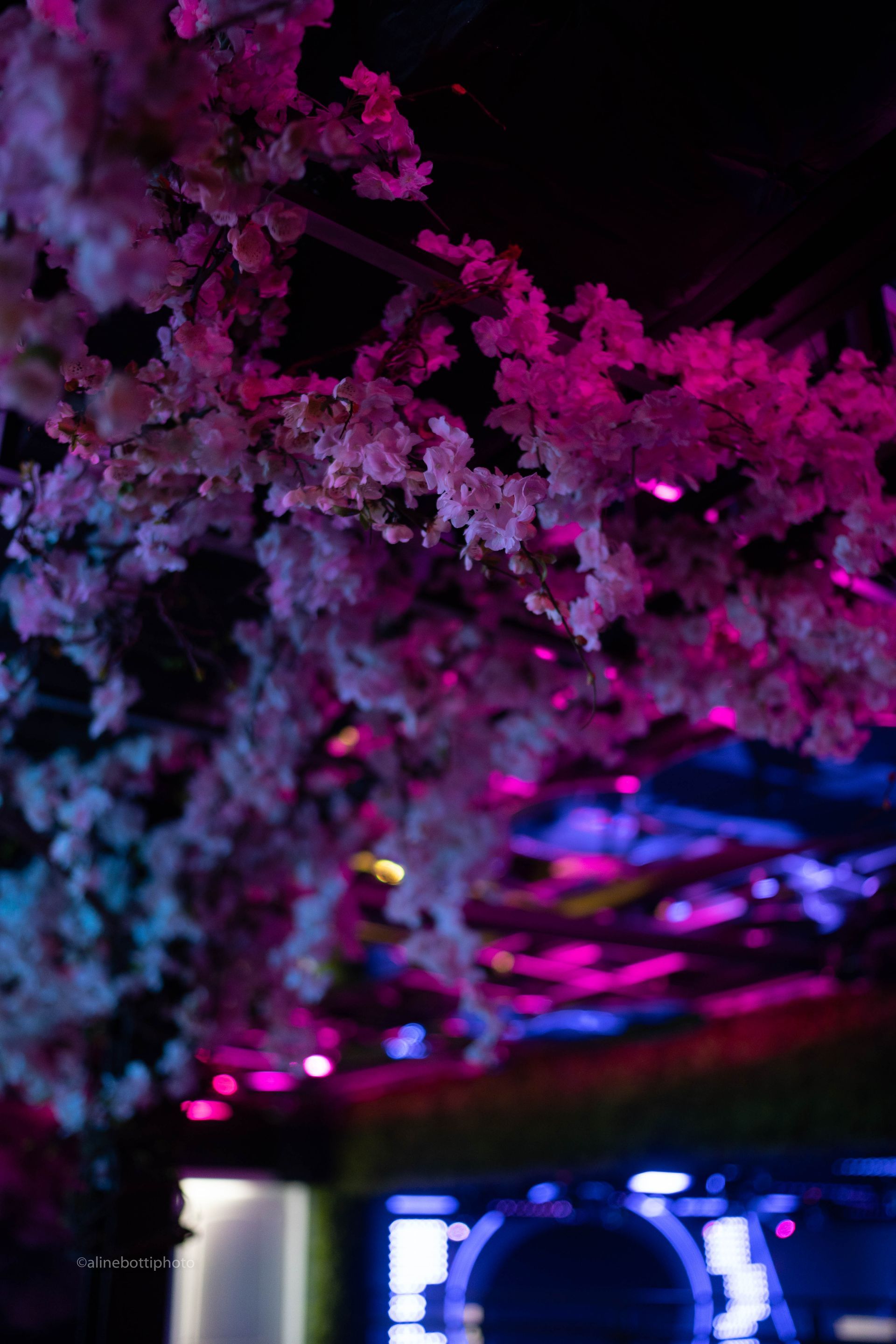 events in raleigh, events in downtown raleigh