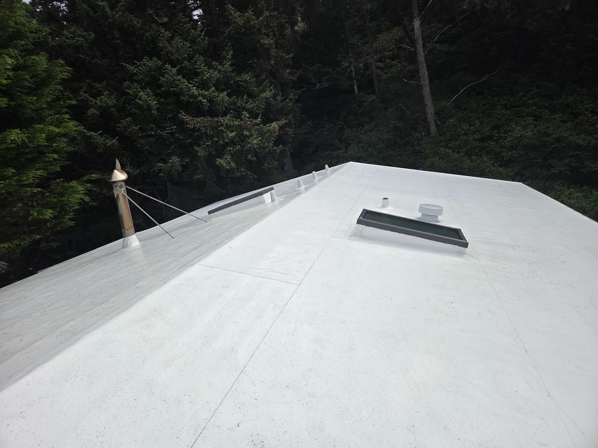 White roof with vents and a chimney against a backdrop of green trees.