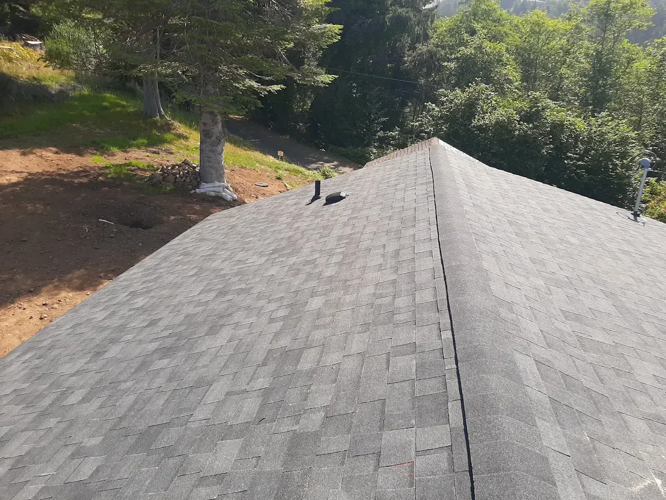 Gray shingle roof against a backdrop of green trees and a blue sky.