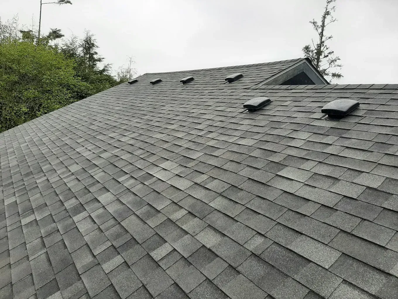 Gray asphalt shingle roof with several vents; trees in the background, overcast sky.