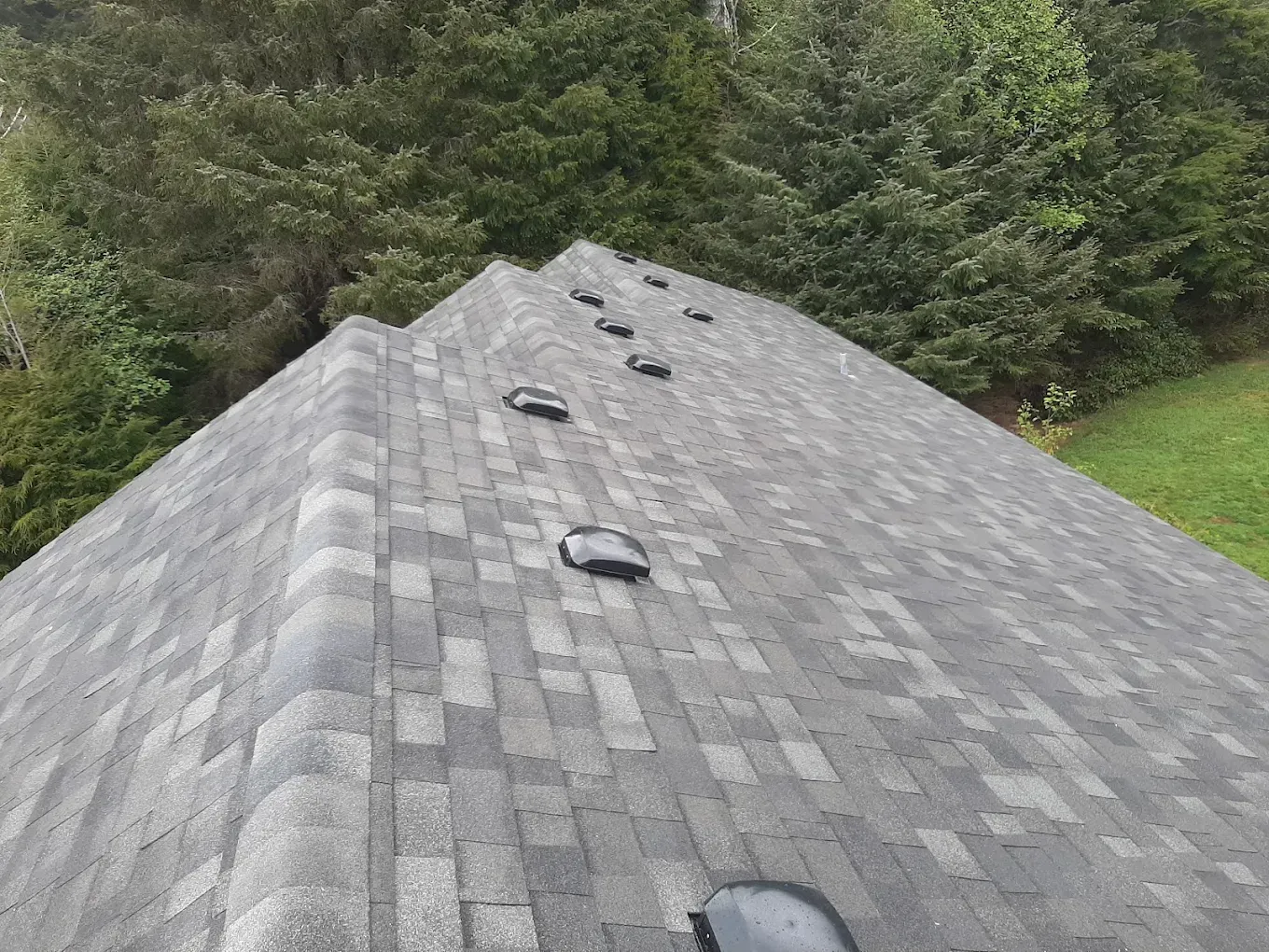 Grey shingled roof with several black vents, set against a backdrop of green trees.