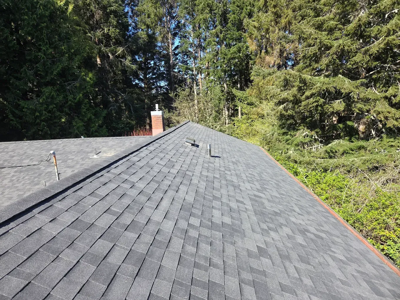 Dark gray shingled roof with a chimney, trees in the background, and a sunny day.