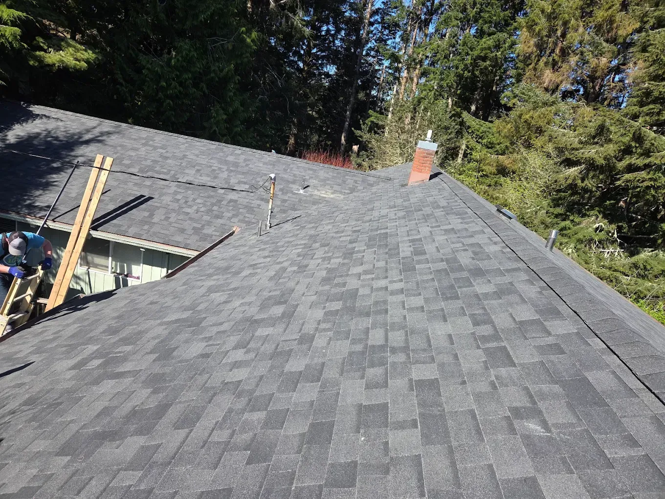 Dark gray shingled roof with a chimney, trees in the background.