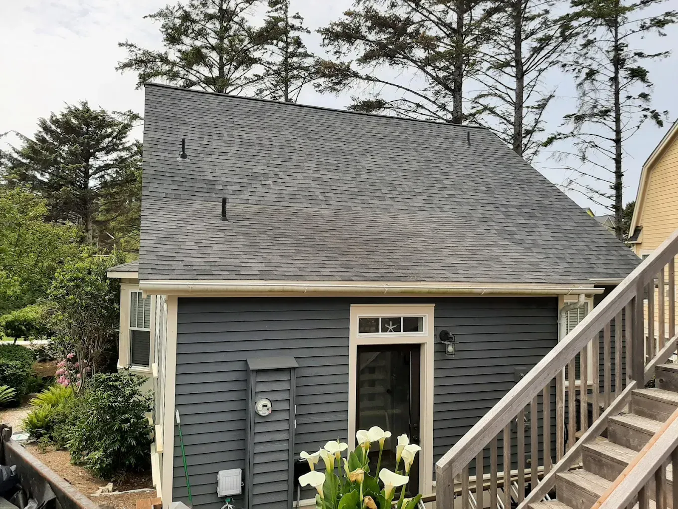 Small gray building with stairs, door, and a gray roof. White flowers in front.