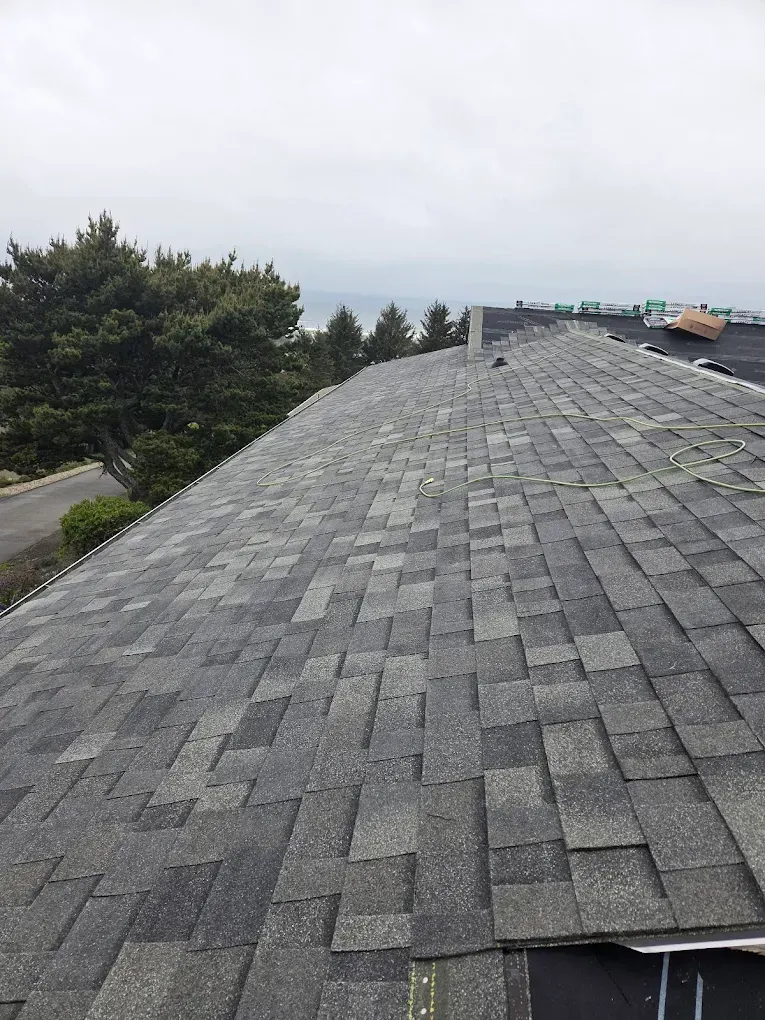 Gray asphalt shingle roof with some missing shingles under a cloudy sky, with a tree and road in the background.