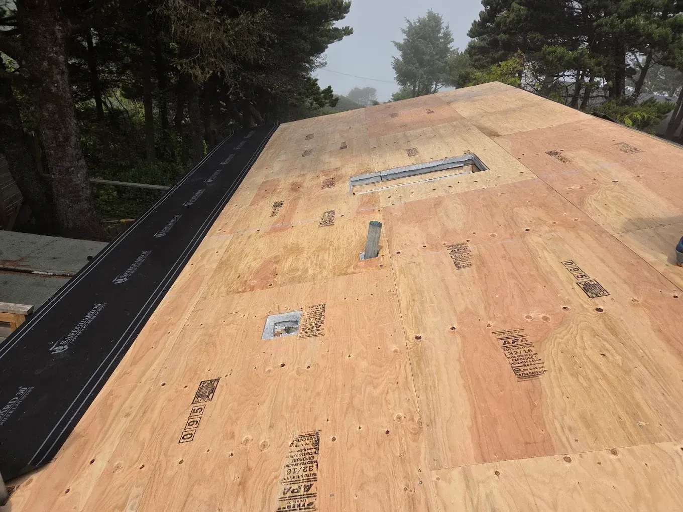 Newly constructed wooden roof, black edge lining, trees in the background.