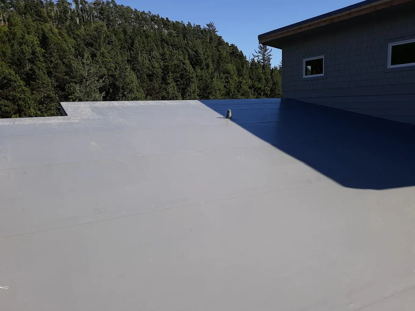 Gray flat roof with a building in the corner, trees in the background, clear sky.