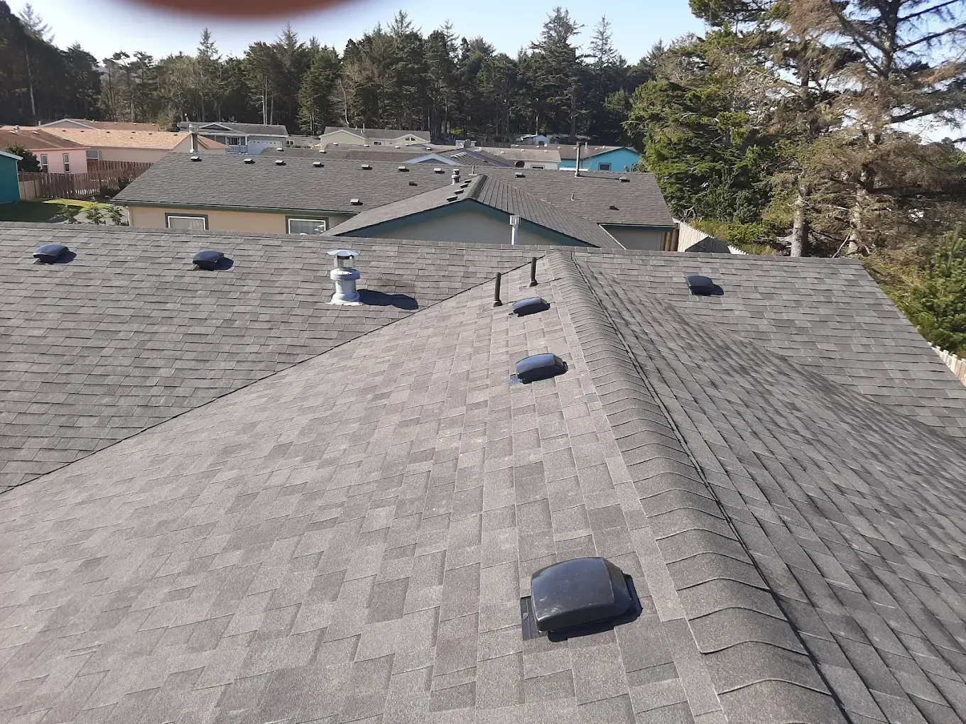 Gray asphalt shingle roofs with various vents, trees in the background under a blue sky.