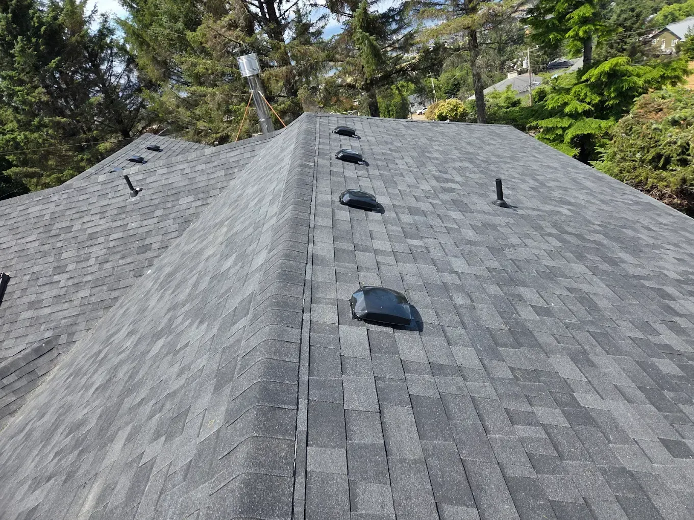 Gray asphalt shingle roof with several vents, trees in background.