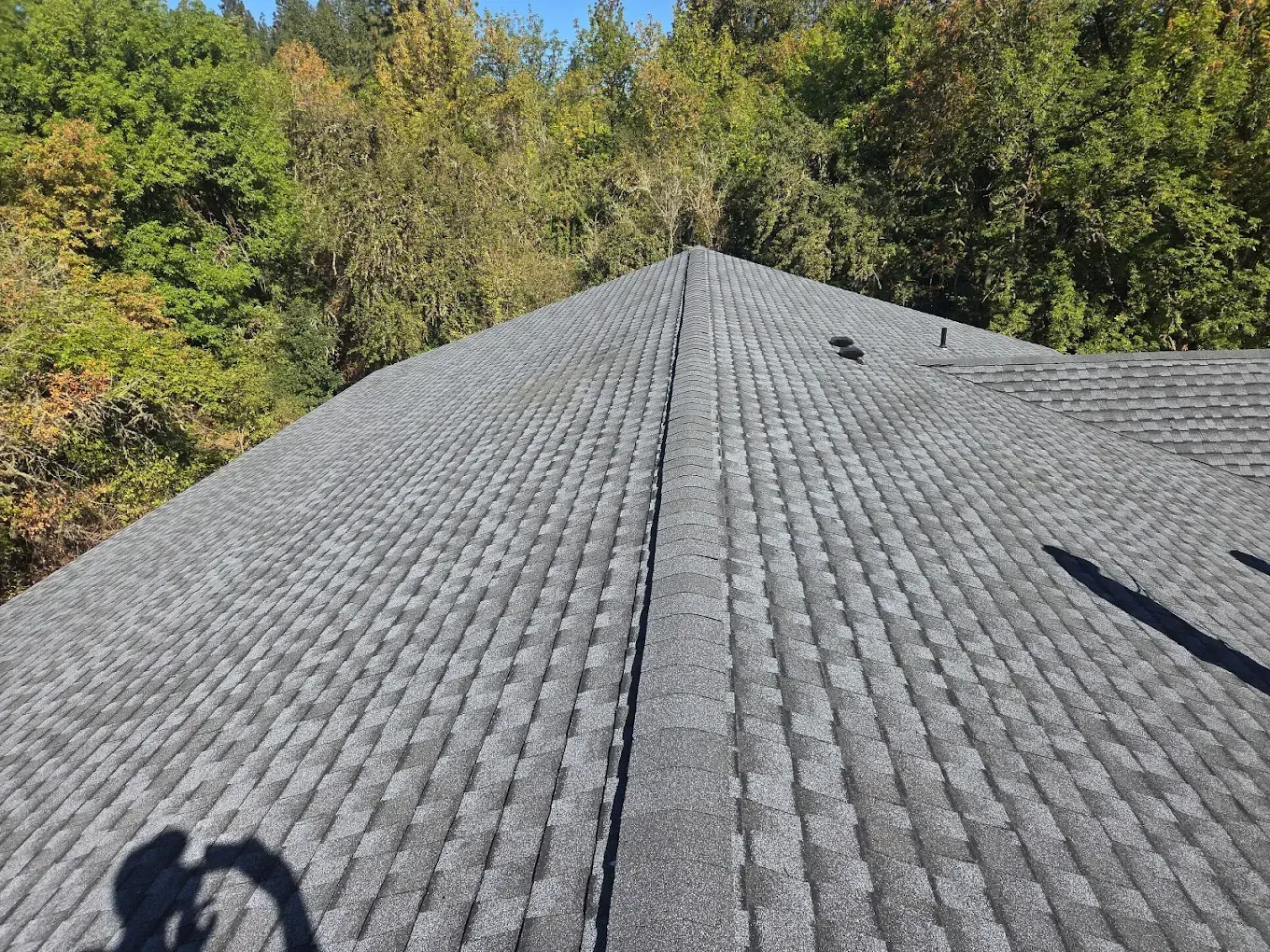 Gray asphalt shingle roof with a dark central ridge, surrounded by green trees against a blue sky.