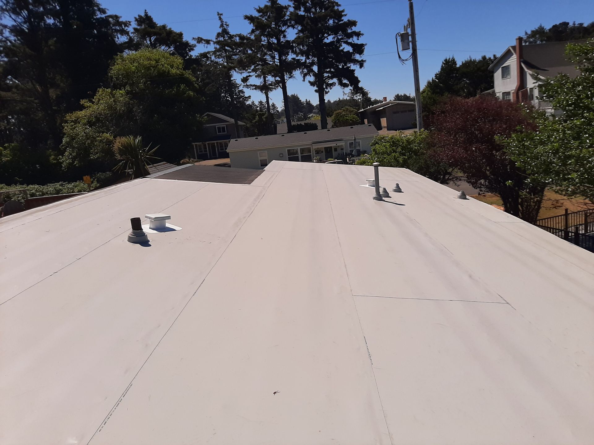 Flat, white roof with a view of trees, a house, and blue sky.