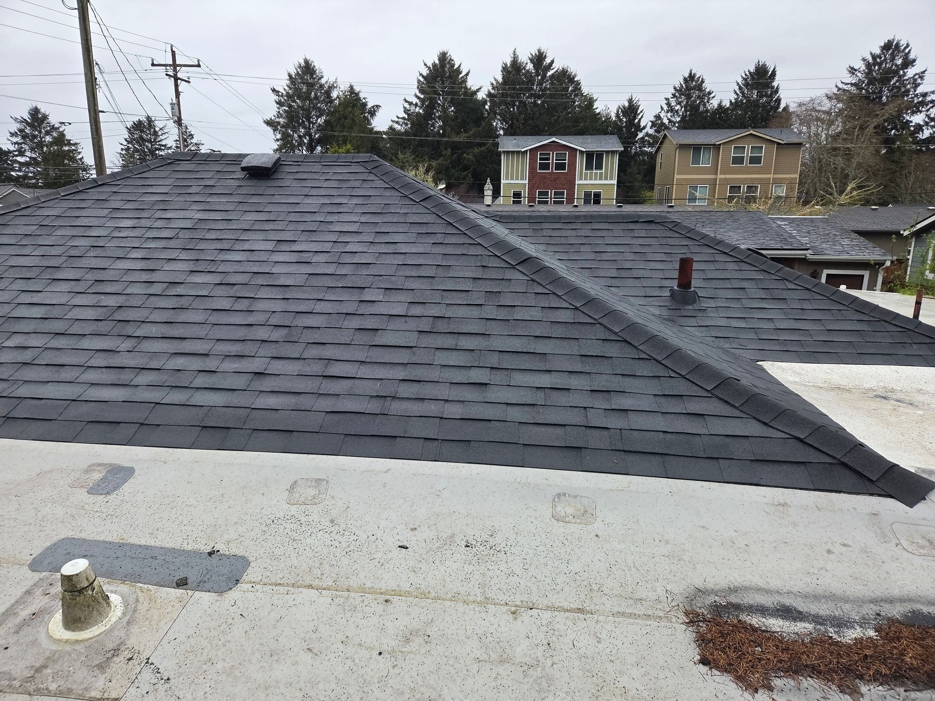 Dark gray shingled roof on a house, set against a cloudy sky, houses in the background.