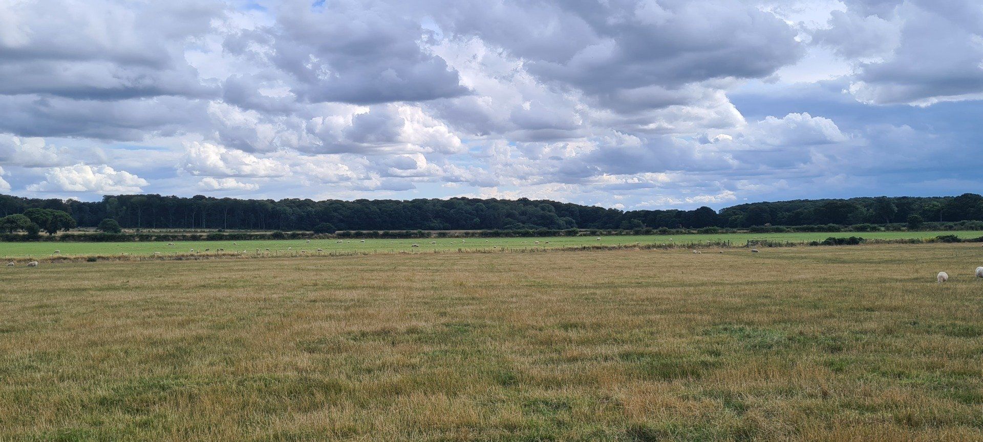 the campaign to stop this vandalism of the Lincolnshire Wolds AONB ...