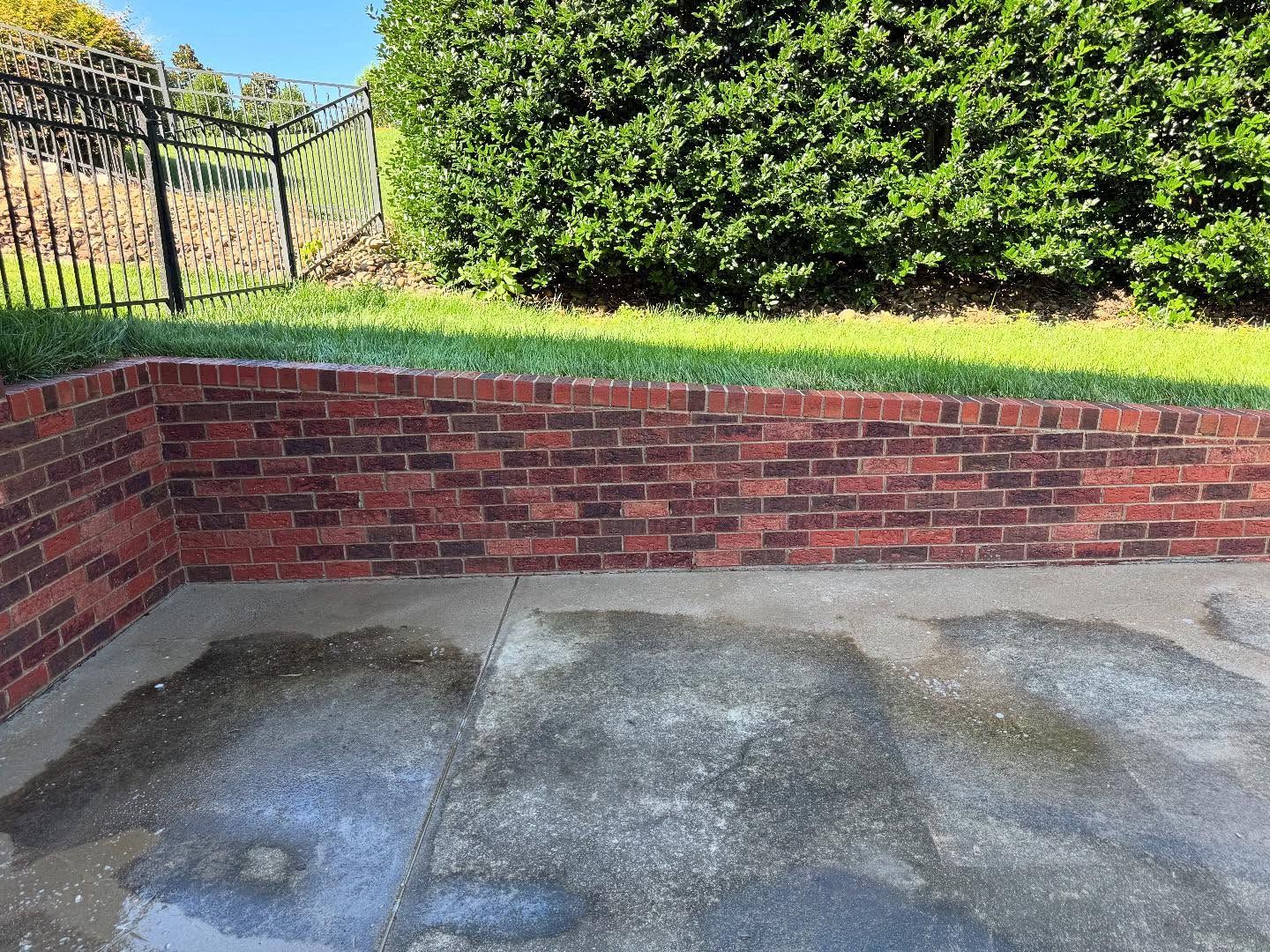 A concrete driveway, partially shaded by a tree, leads up to a garage door. The driveway appears clean and wet.